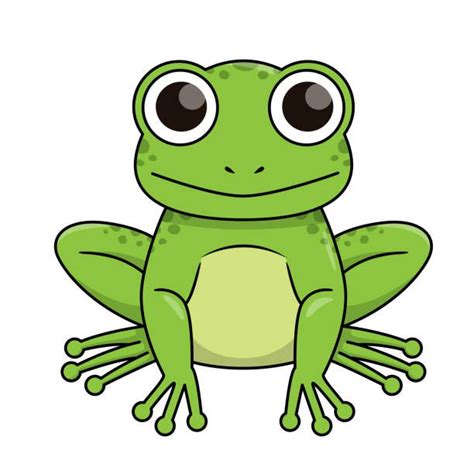 880 Bullfrog Illustrations Royalty Free Vector Graphics Clip Art