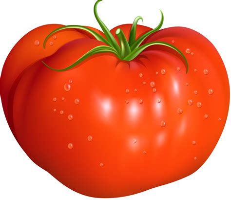 Tomato Red Illustration Red Concise Tomato Png Download 15001297
