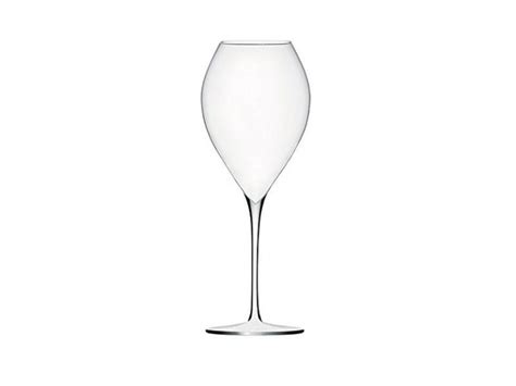 6 Types Of Champagne Glasses Or Flutes Top Brands