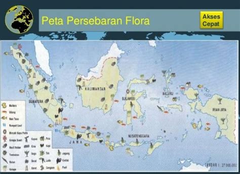 Peta Persebaran Dm Di Indonesia My XXX Hot Girl