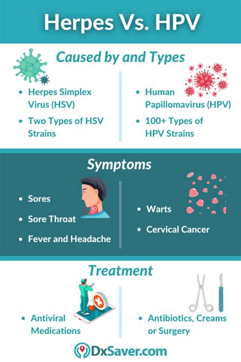 Herpes Vs Hpv Differences Symptoms Testing Diagnosis And Treatment