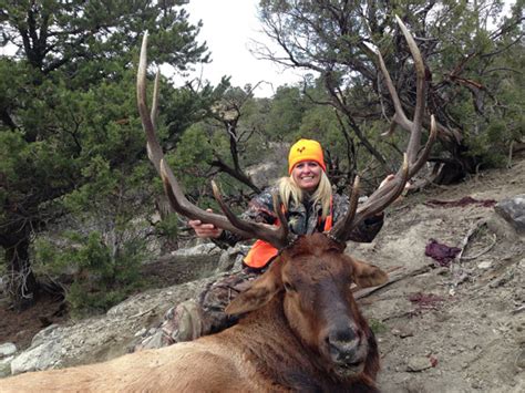 Big Colorado Bull Elk For Robin