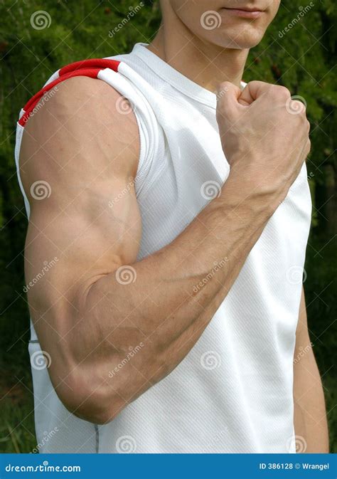 Flexed Biceps Stock Photo Image Of Forearm Beach Clench 386128