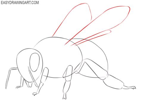 How To Draw A Bee Easy Drawing Art
