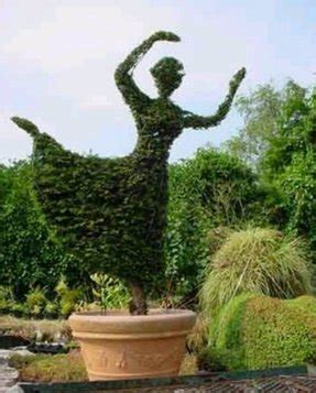 There are 1615 topiary trees for sale on etsy, and they cost 37,55 $ on average. Topiary Trees For Sale - Ideas on Foter