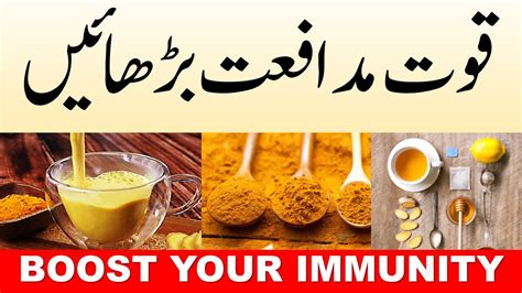 They increase the number of white cells in the immune system army, train them to fight better, and help them form an overall better battle plan. Immune System Booster Foods || Boost Immune System ...