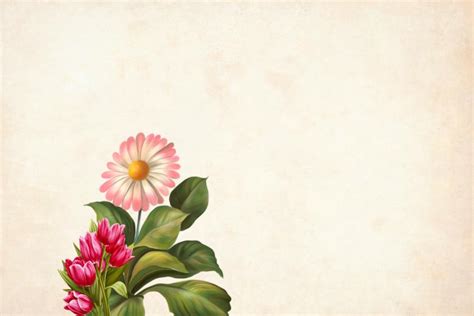 Vintage Paper With Flower Background Free Stock Photo By Mohamed