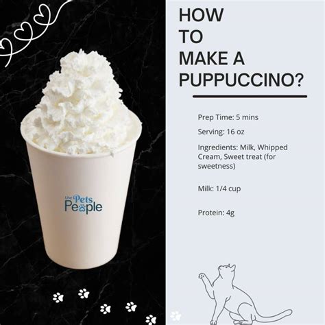 Are Puppuccinos For Cats What Are Puppuccinos Starbucks Guide For Pets