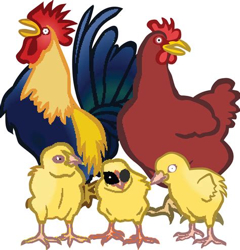 Free Chicken Clipart Transparent Download Free Chicken Clipart Transparent Png Images Free