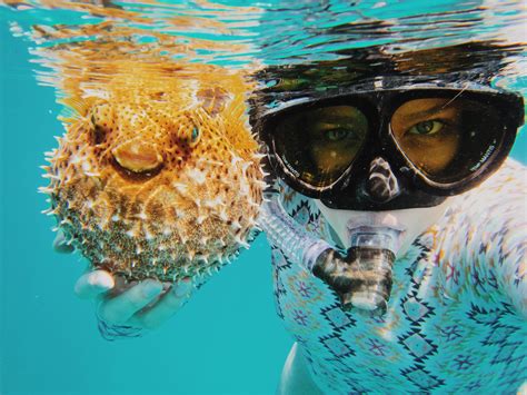 swimming underwater snorkeling real people goggles adventure sport portrait lifestyles