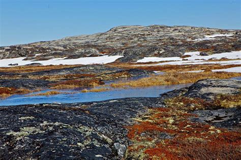 Tundra Iklim Nedir Robert Hughes
