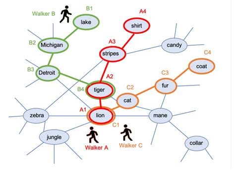 A Schematic Of Random Walks Within A Semantic Network Walkers A And C
