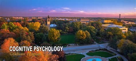 cognitive psychology department of psychology iowa state university