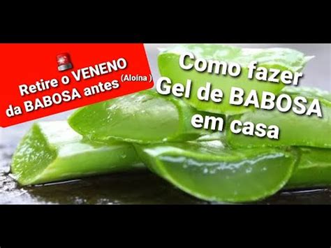 Como Fazer Gel De Babosa Cosm Tica Natural Aloe Vera Perigo Retire A Alo Na O Veneno