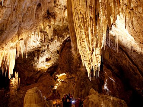 Hastings Caves Far South Tasmania
