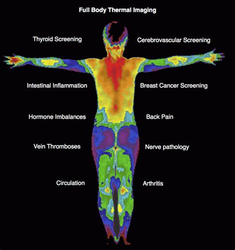 Thermography Full Body Scan Little Rock