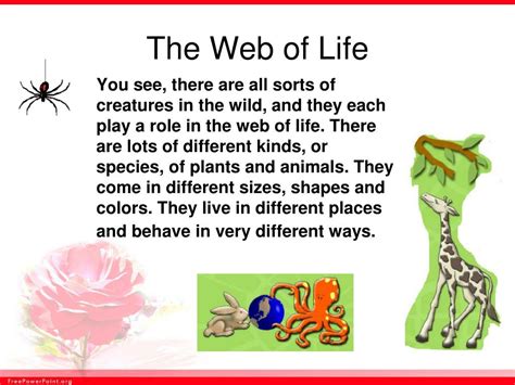 Ppt The Web Of Life Powerpoint Presentation Free Download Id3584751