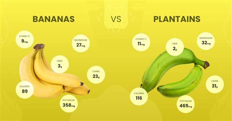Bananas And Plantains Whats The Difference Riviera Produce