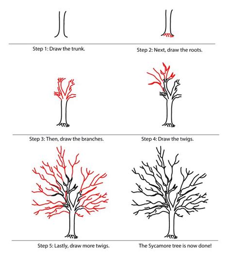 How To Draw A Tree Step By Step Image Guides Tree Drawings Pencil