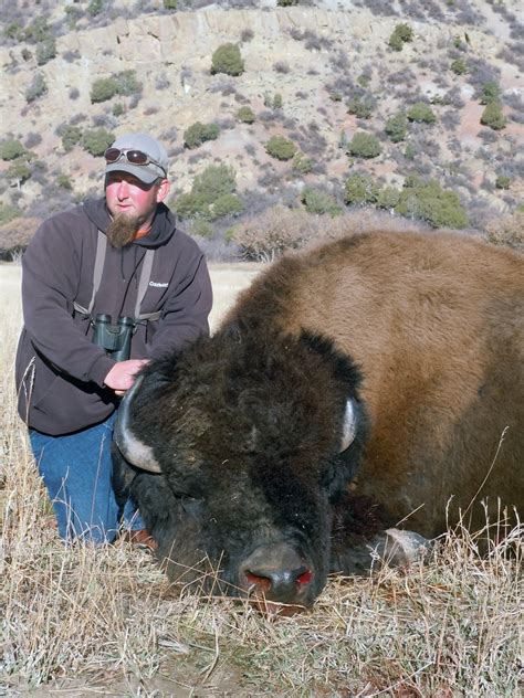 Buffalo Hunting Outfitter Buffalo Hunting Guide Sd Ne Wy Mt Tx