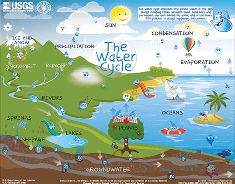 Interactive Water Cycle Diagram For Kids Beginner