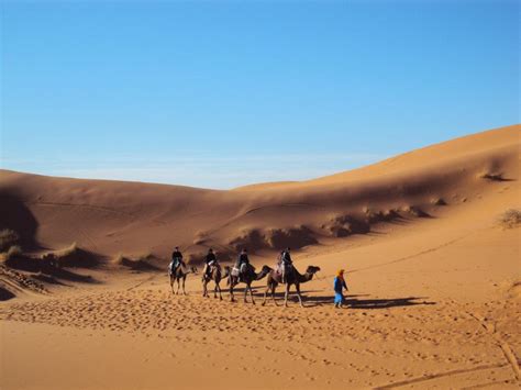 Morocco camel trekking tours to trek across the golden dunes of erg chebbi in the sahara desert. Morocco Camel Riding Tours - Merzouga & Erg Chebbi Dunes ...