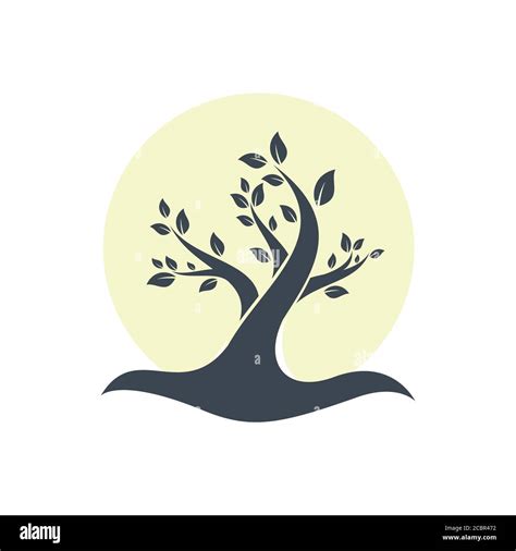 Beautiful Silhouette Of Tree Logo Vector With Circle Leaf Root Graphics