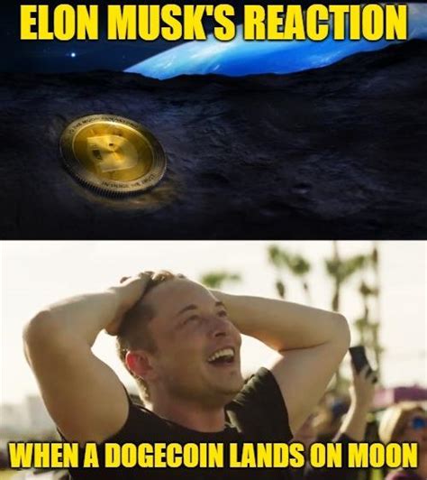The spacex and tesla ceo, who overtook amazon founder. Elon Musk's Reaction: Dogecoin landing on moon! : dogecoin