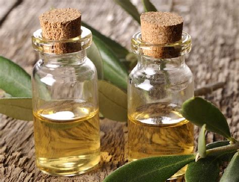 Wild growth hair oil is a heavier oil and contains cocoa butter, mushroom, chickpea, and lentil extracts. How to Use Tea Tree Oil for Hair Growth and Dandruff