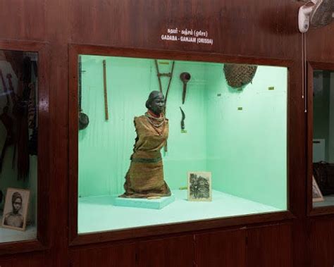 Confronting Colonialism The Complexities Of Addressing The Past While Decolonising Museums By