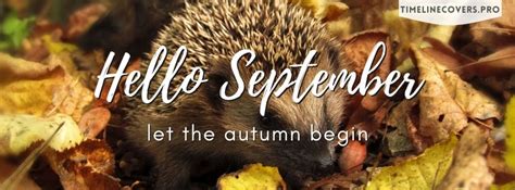 Hello September Hedgehog Cute Smallest Creature Facebook Cover Photo