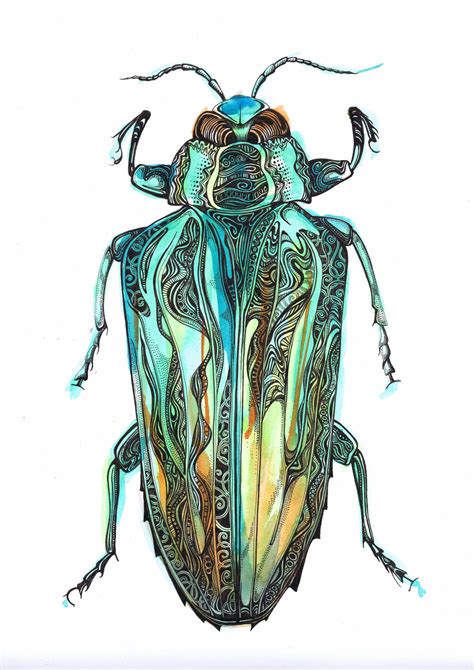 Pen And Ink Beetle On Watercolour Paper Watercolor Pictures Watercolor