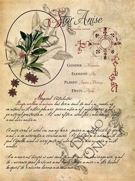 Grimoire Spell Herbal Correspondence And Book Of Shadows Etsy Magic