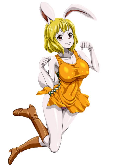 One Piece Carrot 1 By Ayvatoo On Deviantart