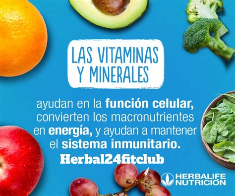 FunciÓn De Las Vitaminas Y Minerales Herbalife Getactivenow