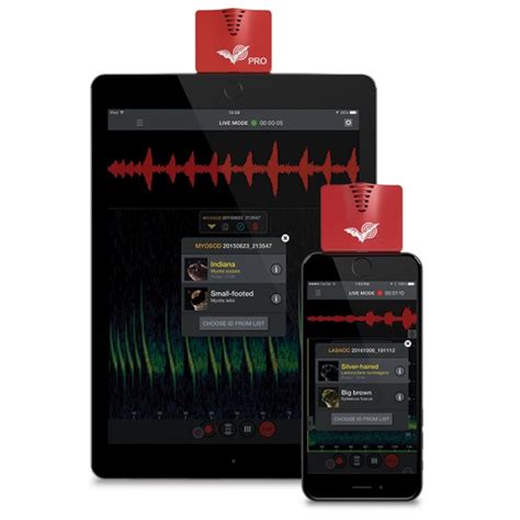 The required echo meter touch app for ios is free and available for download at the apple app store. Bat Detector Reviews