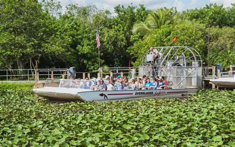 Everglades National Park Vacation The Everglades Travel Guide