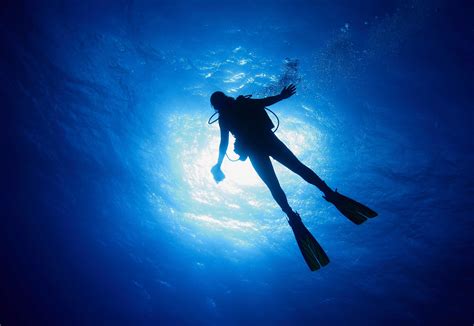 Short Feature Choosing A Good Dive Partner • Scuba Diver Life