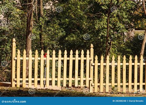 New Pine Fence By Trees Royalty Free Stock Photos Image 28288248