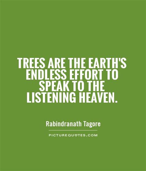 Tree Quotes Tree Sayings Tree Picture Quotes
