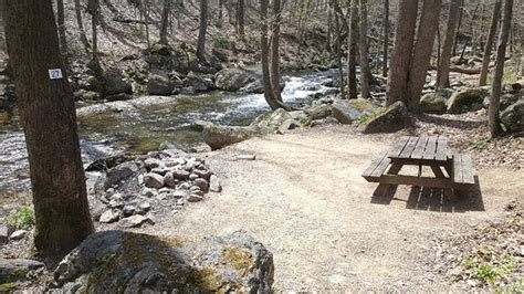 Crabtree Falls Campgrounds Go Camping America