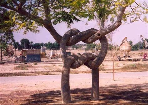 two trees knotted together 🌳 interestingasfuck