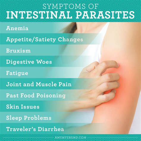 Intestinal Parasites Signs You May Have One Amy Myers Md