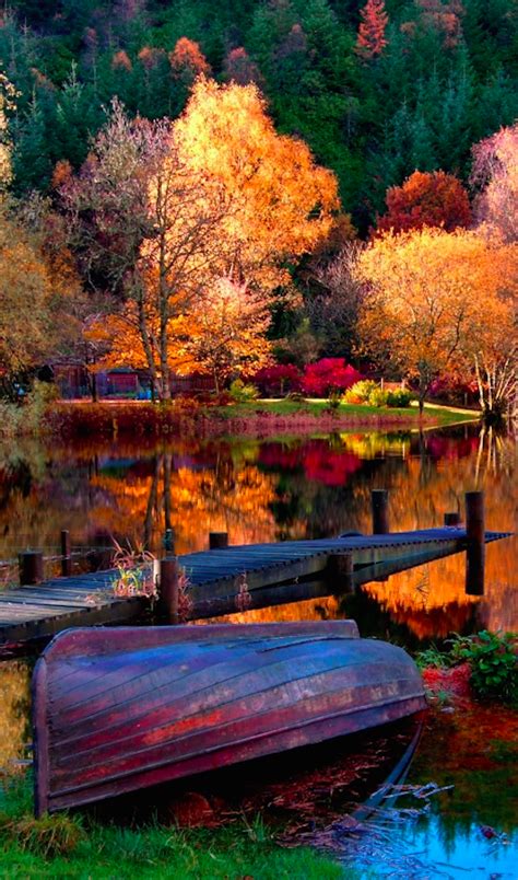 Vibrant Autumn Lake Scene Absolutely Gorgeous