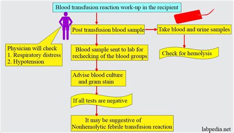 Blood Transfusion Reactions Updated May 6 2023 By Kamlesh Kumar