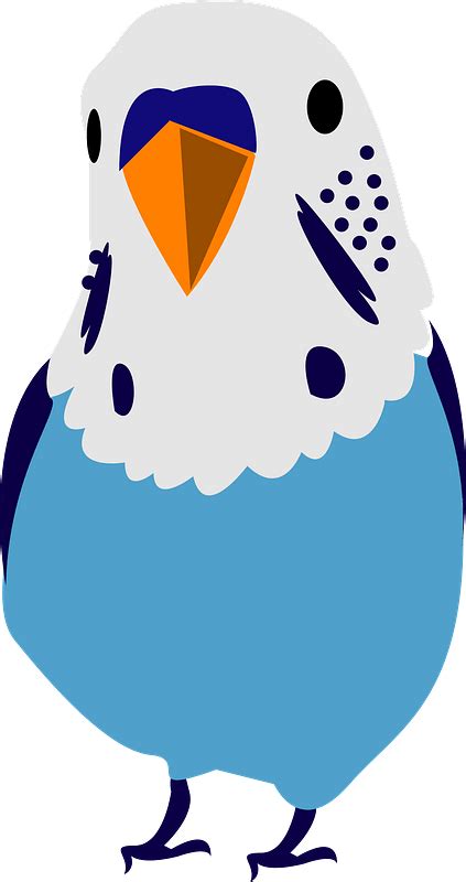 Blue Budgerigar Blue Parrot Clipart Free Download Transparent Png