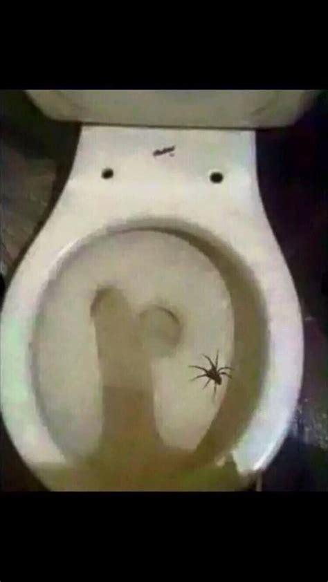 Danny Ocarroll On Twitter Nearly Died When I Spotted This Spider In