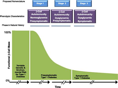 Frontiers Understanding Pre Type 1 Diabetes The Key To Prevention