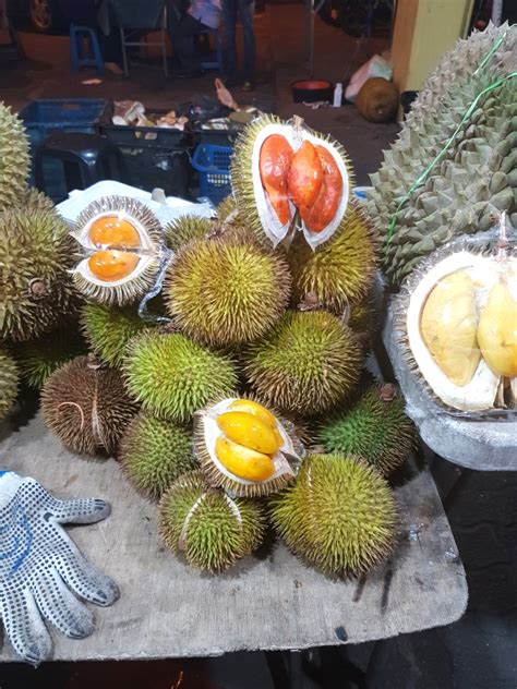 The pungent smell of a durian is not to the liking of many australians, but in asia they are regarded as the king of fruits. Off The Beat: A wild durian trip to Sabah - Apple 101°