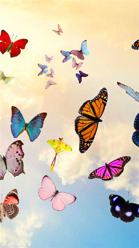 Free desktop wallpaper of beautiful colorful butterflies and moths. Mobile Wallpapers Butterfly Design | 2021 3D iPhone Wallpaper